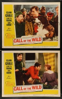 4k917 CALL OF THE WILD 2 LCs R53 Clark Gable & Jack Oakie in Jack London story!