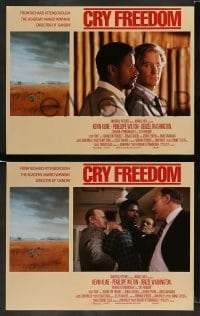 4k170 CRY FREEDOM 8 LCs '87 Kevin Kline, Denzel Washington, directed by Richard Attenborough!