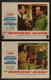 4k196 DESPERATE HOURS 8 LCs '55 Humphrey Bogart, Fredric March, Martha Scott, William Wyler!