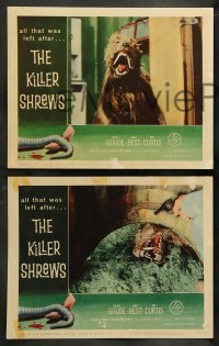 4k416 KILLER SHREWS 8 LCs '59 Ingrid Goude, James Best, includes two great monster scenes!