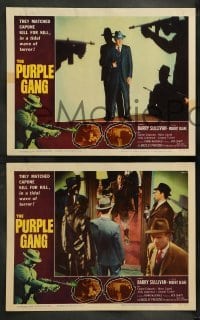 4k813 PURPLE GANG 7 LCs '59 Robert Blake, Barry Sullivan, they matched Al Capone crime for crime!