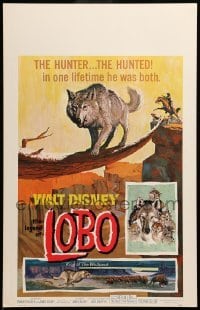 4p349 LEGEND OF LOBO WC '63 Walt Disney, King of the Wolfpack, cool artwork of wolf being hunted!