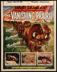 4p453 VANISHING PRAIRIE WC '54 a Walt Disney True-Life Adventure, cool art of stampeding buffalo!