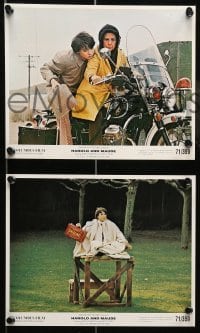 4r007 HAROLD & MAUDE 5 color Swiss 8x10 stills '71 great images of Ruth Gordon & Bud Cort!