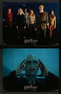 4r536 HARRY POTTER & THE ORDER OF THE PHOENIX 6 French LCs '07 Ralph Fiennes, Daniel Radcliffe!