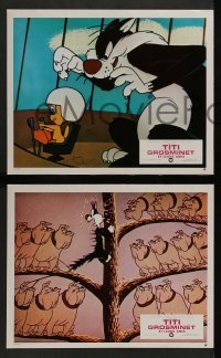 4r569 TITI GROSMINET ET LEURS AMIS 6 French LCs '70s Sylvester & Tweetybird animation!
