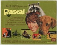 4s358 RASCAL TC '69 Walt Disney, great images of Bill Mumy with raccoon & dog!