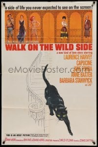 4t946 WALK ON THE WILD SIDE 1sh '62 cool artwork of black cat on stairs & sexy stars on balcony!