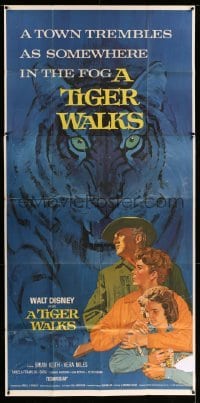 4w922 TIGER WALKS 3sh '64 Disney, artwork of Brian Keith & family by huge prowling tiger!
