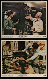 4x280 GODFATHER 2 color 8x10 stills '72 Caan, Duvall, Marley, the horse, Coppola crime classic!