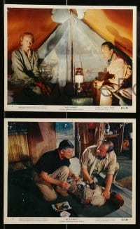 4x251 MOGAMBO 3 color 8x10 stills '53 Clark Gable, Grace Kelly, Africa, cool images!