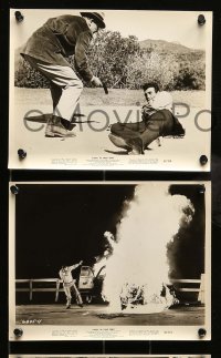 4x759 PANIC IN YEAR ZERO 5 8x10 stills '62 Ray Milland, Jean Hagen, Frankie Avalon!