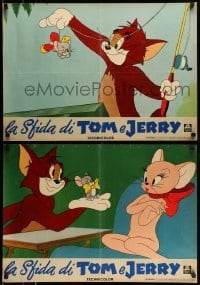 4y481 LA SFIDA DI TOM E JERRY set of 3 Italian 19x27 pbustas '59 Tom & Jerry animated cartoon!
