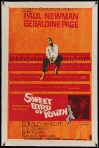 5a263 SWEET BIRD OF YOUTH linen 1sh '62 Paul Newman, Geraldine Page, from Tennessee Williams' play!