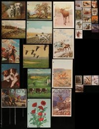 5h243 LOT OF 30 ANIMAL ART PRINTS, BOOK AND MAGAZINE PAGES '00s-40s great images!