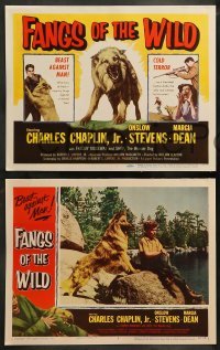 5j148 FANGS OF THE WILD 8 LCs '54 great images of Charles Chaplin Jr. and Shep the Wonder Dog!