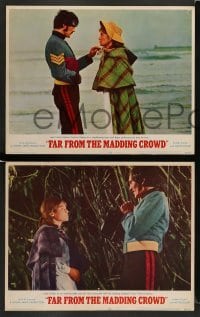 5j150 FAR FROM THE MADDING CROWD 8 LCs '68 Julie Christie, Terence Stamp, Peter Finch!