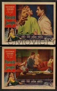 5j859 FEMALE JUNGLE 3 LCs '56 great images of Kathleen Crowley, Lawrence Tierney!