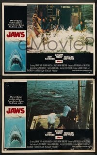 5j618 JAWS 6 int'l LCs '75 Roy Scheider, Robert Shaw, Richard Dreyfuss, Gary, Spielberg's shark!