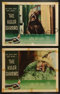 5j247 KILLER SHREWS 8 LCs '59 Ingrid Goude, James Best, includes two great monster scenes!