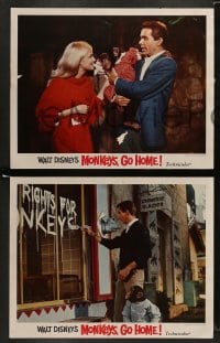 5j303 MONKEYS GO HOME 8 LCs '67 Disney, Maurice Chevalier, Yvette Mimieux & wacky apes!
