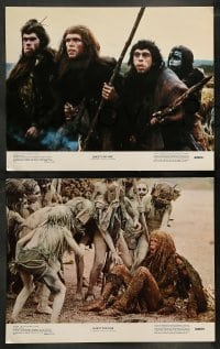 5j650 QUEST FOR FIRE 6 LCs '82 Jean-Jacques Annaud, great artwork of prehistoric cavemen!