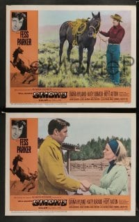 5j418 SMOKY 8 LCs '66 Diana Hyland, Fess Parker tames wild outlaw mustang!