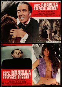 5p744 DRACULA A.D. 1972 set of 10 Italian 18x26 pbustas '72 Hammer, vampire Christopher Lee!