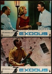 5p795 EXODUS set of 6 Italian 19x27 pbustas R60s Otto Preminger classic starring Paul Newman!