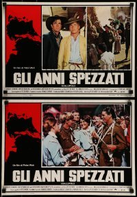 5p776 GALLIPOLI set of 8 Italian 13x19 pbustas '82 Peter Weir directed, Mark Lee, Mel Gibson!