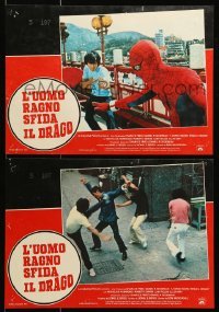 5p724 SPIDER-MAN: THE DRAGON'S CHALLENGE set of 2 Italian 13x18 pbustas '80 Nick Hammond as Spidey!