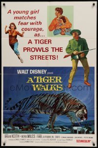 5t892 TIGER WALKS style A 1sh '64 Walt Disney, art of Brian Keith standing by huge prowling tiger!