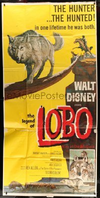 5w606 LEGEND OF LOBO 3sh '63 Walt Disney, King of the Wolfpack, cool artwork of wolf being hunted!
