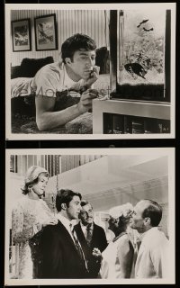 5x911 GRADUATE 2 8x10 stills '68 great images of Dustin Hoffman, Mike Nichols classic!