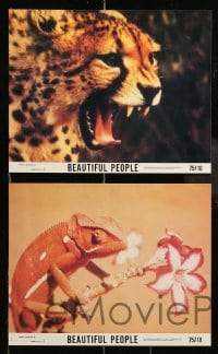 5x019 ANIMALS ARE BEAUTIFUL PEOPLE 8 8x10 mini LCs '75 Jamie Uys, Africa, images of lions, more!
