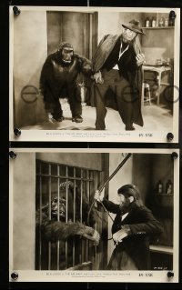 5x774 APE MAN 3 8x10 stills R49 great images of Bela Lugosi and wacky ape, Minerva Urecal!