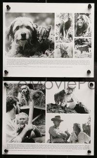 5x574 BENJI THE HUNTED 5 8x10 stills '87 Disney Border Terrier dog & cute cougar cubs!