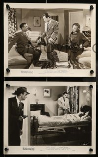 5x475 DUKE OF CHICAGO 6 8x10 stills '49 Tom Brown, fighting in the ring, gorgeous Audrey Long!