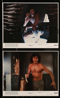 5x030 FLY 8 8x10 mini LCs '86 David Cronenberg sci-fi remake, Jeff Goldblum, Geena Davis!