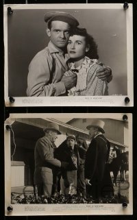 5x367 PRIDE OF MARYLAND 8 8x10 stills '51 Stanley Clements & Peggy Stewart, horse racing images!