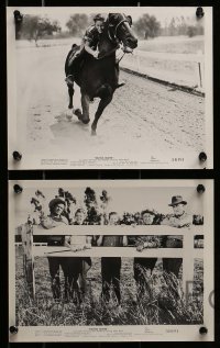 5x368 RACING BLOOD 8 8x10 stills '54 great images of jockey Jimmy Boyd, horse racing!