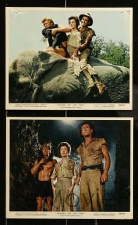 5x012 TARZAN THE APE MAN 10 color 8x10 stills '59 Edgar Rice Burroughs, Denny Miller, Joanna Barnes