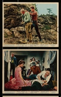 5x063 FROM HELL TO TEXAS 7 color English FOH LCs '58 cowboy Don Murray, Diane Varsi, Man Hunt!