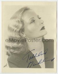 5y463 TALLULAH BANKHEAD signed deluxe 5x7 still '40s head & shoulders portrait of the leading lady!