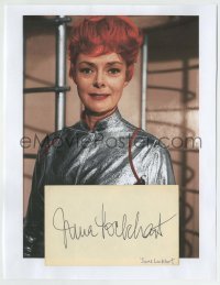 5y566 JUNE LOCKHART signed 3x5 index card '80s ready to frame & display on the wall!