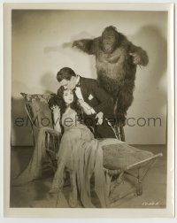6h368 GORILLA 8x10.25 still '30 great fake ape attacks Walter Pidgeon romancing Lila Lee, rare!