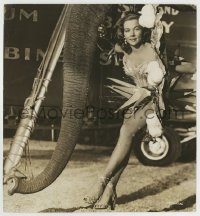 6h381 GREATEST SHOW ON EARTH 7.5x8.25 still '52 great c/u of Gloria Grahame by elephant's trunk!