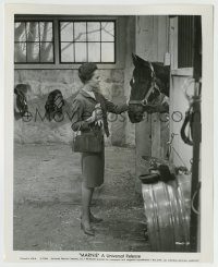 6h572 MARNIE 8.25x10 still '64 Alfred Hitchcock, Tippi Hedren visiting her horse in the stable!
