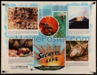 6k388 SECRETS OF LIFE 1/2sh '56 Disney's most amazing & miraculous True Life Adventure feature!
