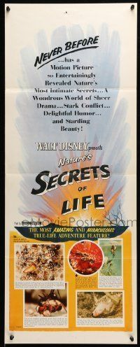 6k880 SECRETS OF LIFE insert '56 Disney's most amazing & miraculous True Life Adventure feature!